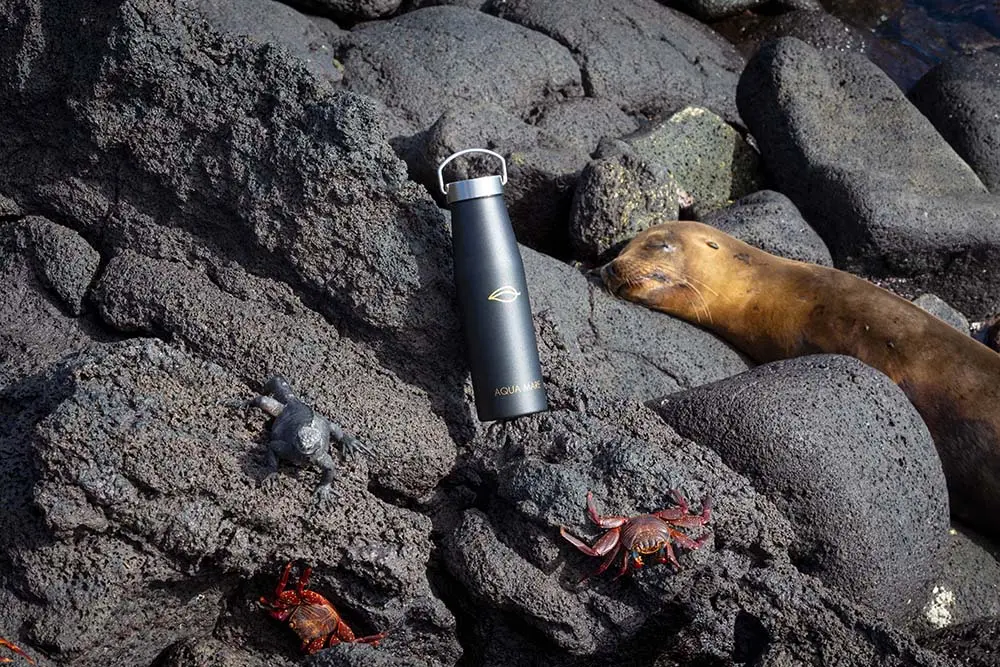 Galapagos Essentials: What You Need to Pack for Your Expedition